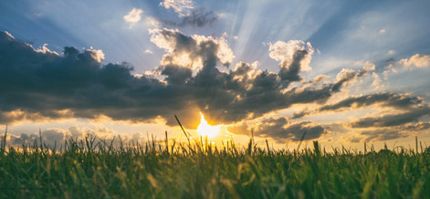 Today’s Sun Won’t Bring Harm